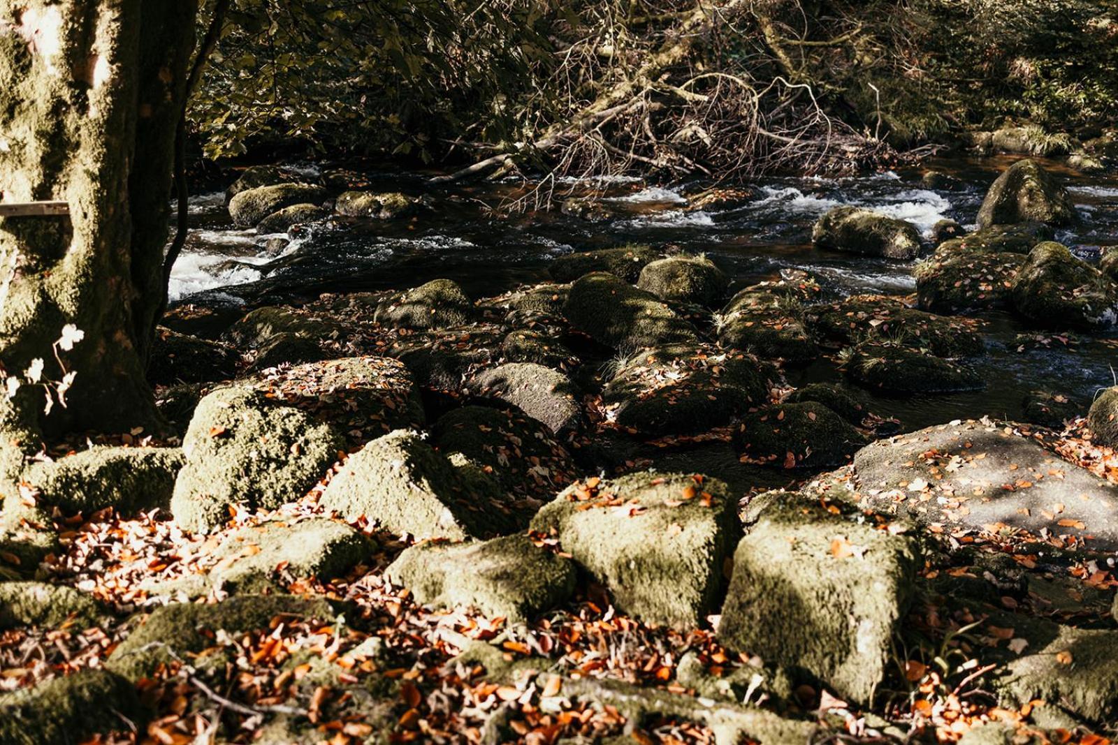 Fox Tor Apartment Plymouth Buitenkant foto